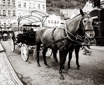 About Us: Scrap Metal Recycling Sterling Heights MI | Admiral Metals - carriage